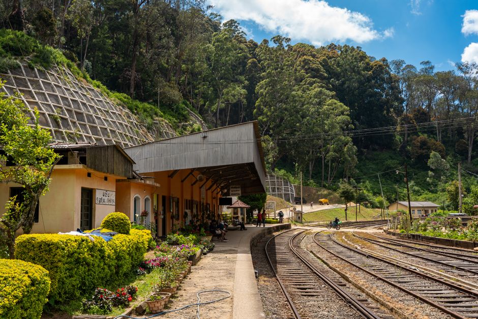 Enjoy a scenic train ride from Kandy to Nuwara Eliya