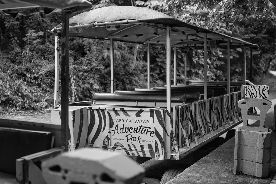 Experience the Night Safari's open-air tram ride