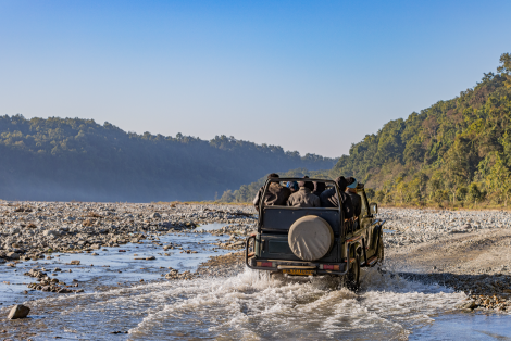 Explore the Corbett National Park