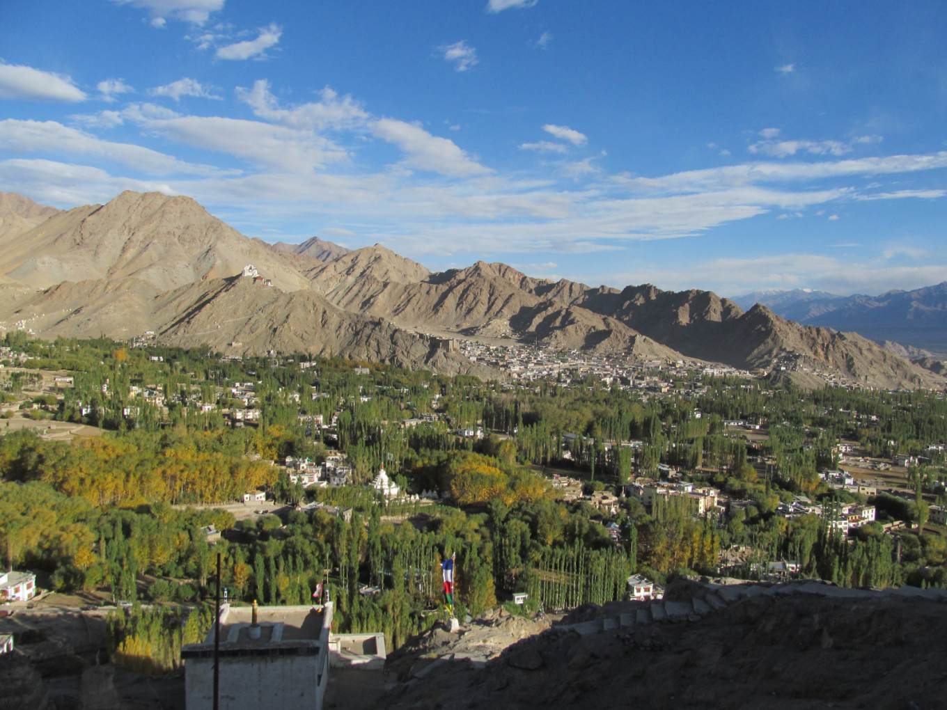 Leh Main Market
