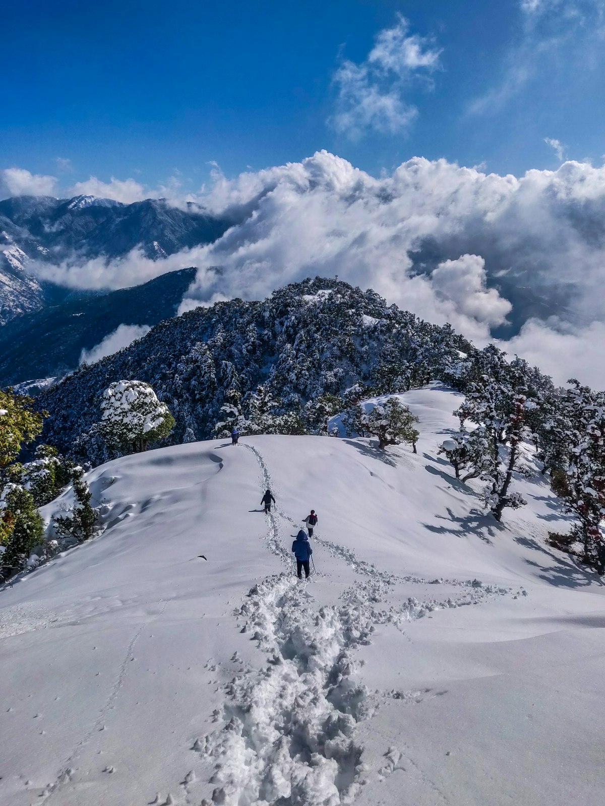 Himachal Mountain Holiday