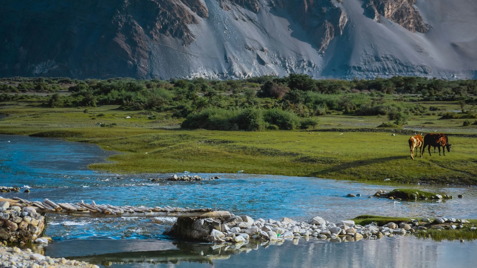 Leh - Ladakh