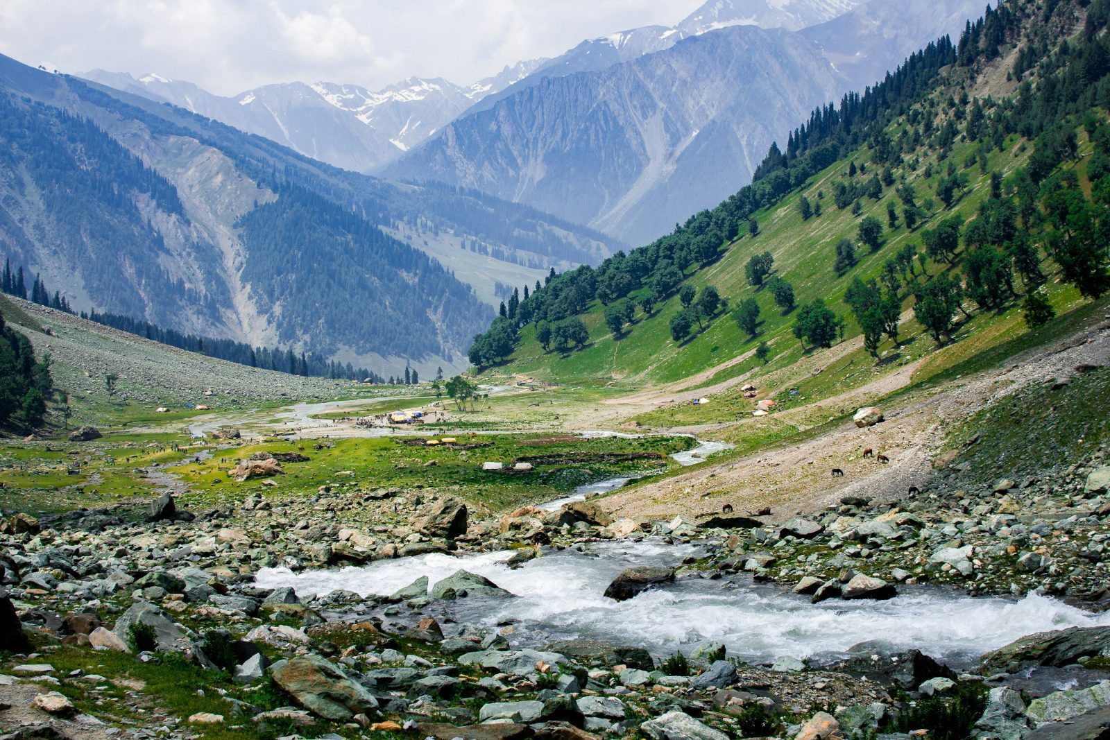 Kashmir	Basic Packages