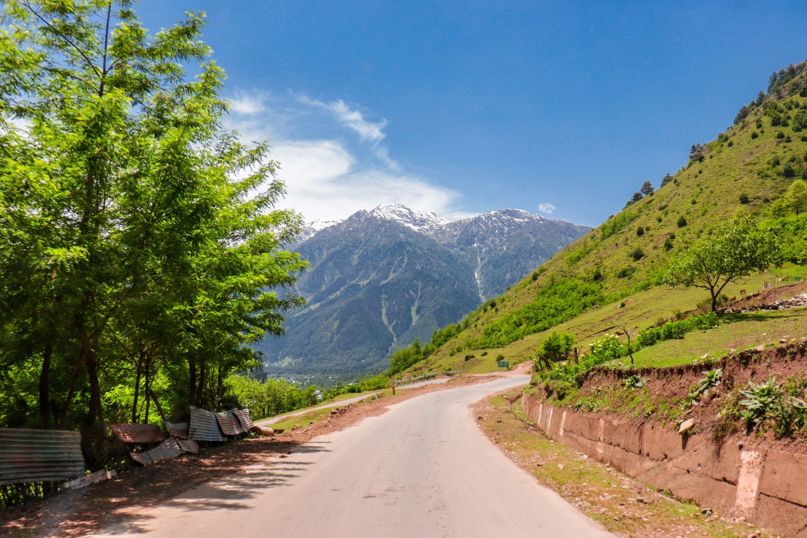 Kashmir	Deluxe Packages