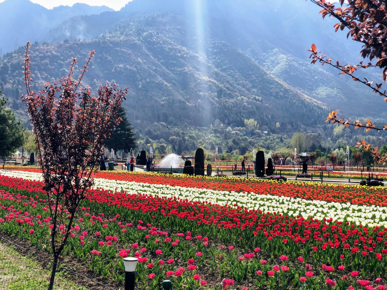 Kashmir	Deluxe Packages